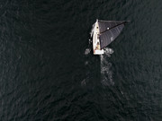 DJI_20240525112812_0032_D