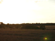 Teknival BG 2013 (112)