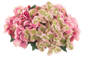 Yk-Easter-is-Coming-53