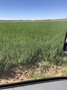 0B4FA7BE-D8EA-4217-80C5-87259651887A