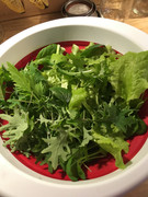 6EADD99D-ABE5-45A2-8E9A-4DAEB30ED517