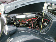 196724541-1139090939923498-529298536390000493-n.jpg