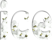 Word-Art-Ice