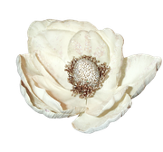 Winter-White-Elements-30