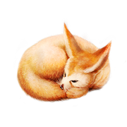 ISmell-Autumn-LL-Element16