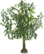 0_17d83f_4e985e0b_orig