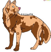 934FB1F2-9CE8-43C3-9304-FBC1AF2C34D2