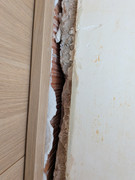 PXL 20260215 104912239