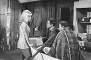 Barbara-Eden-c95