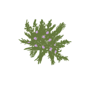 received_861140204623947