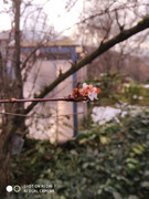 [Obrázky: IMG-20210125-141951.jpg]