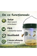 Design-fara-titlu-(4)