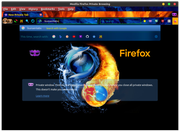 ff-private-search.png
