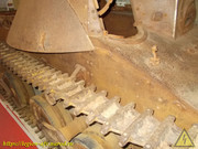 DSCN3010