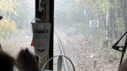 S9960019