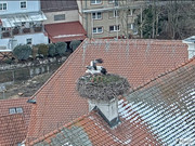 Kép