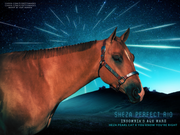 Insoms-Sheza-Perfect-Rio