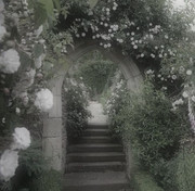 7f6f3e86bd3edce6c4ebe46048bb1cbd