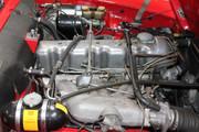 IMG-3537.jpg