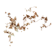 TADD_elements_Shimmer_Fall_39