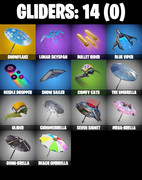 gliders-comp