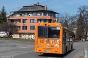 IMG-1355