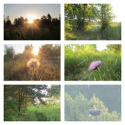 odwiedzinyubociankow