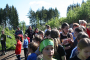 IMG-8446