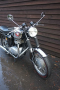 BSA-A65R1