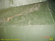 DSC00311