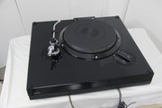 IMG-0049