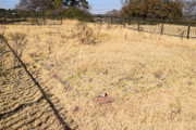 DSC-0012