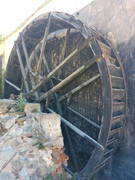 IMG-20241031-144145