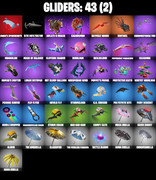 gliders-comp