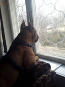 DBE89489-5029-4126-A758-A5B744C5B7F6