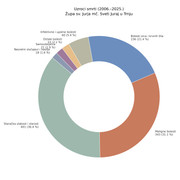 uzroci-smrti-2006-2025-DONUT-LJEPSE-BOJE