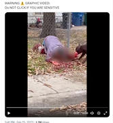 Screenshot Capture - 2023-09-16 - 02-47-31