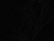 53.3.evening exploration III