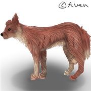 65F0BFAD-2041-434E-A9F0-F4278565674E