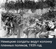 https://i.postimg.cc/nCsZvP36/photo-2026-06-29-06-01-41.jpg