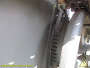 IMG-6516
