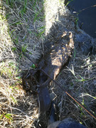 IMG-20200525-192429