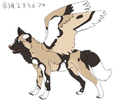 W14-Raziphael (C) 283674, Weeds