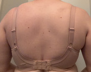 IMG-1650