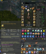 pvp-eq13
