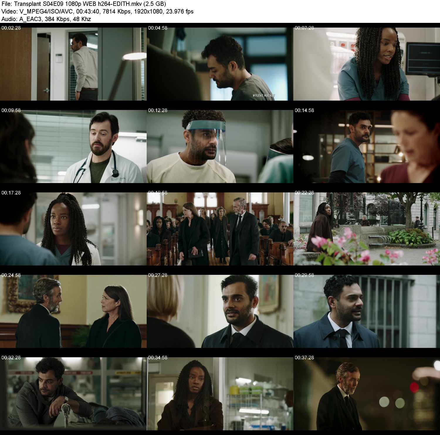 [Image: jv16p4ayj5lk.jpg]