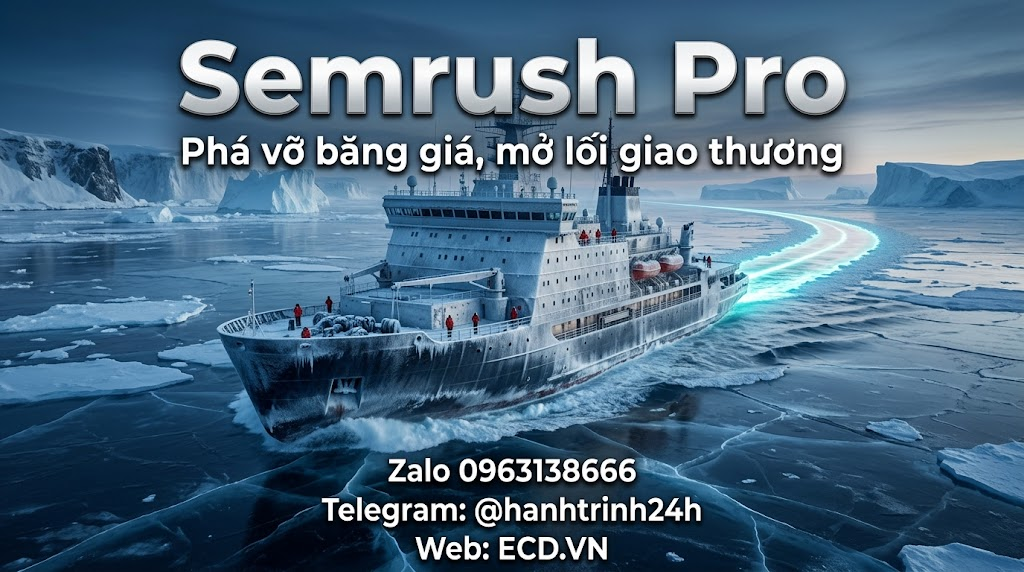 semrush pro phân tích traffic
