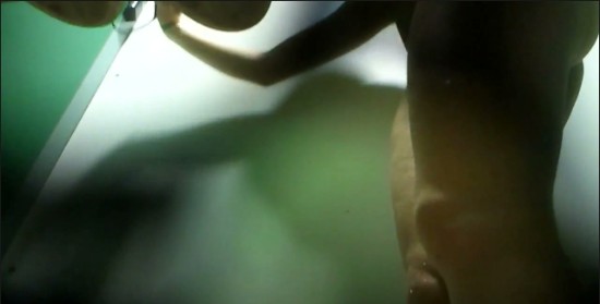 [Image: Voyeur19515102759.jpg]