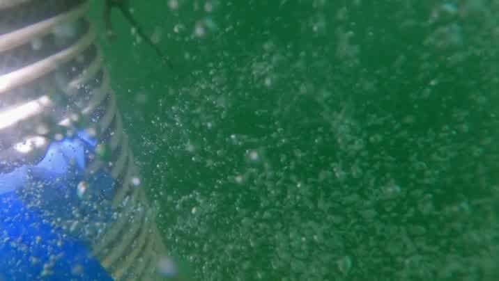 [Image: 1mw7zsais3e2.jpg]