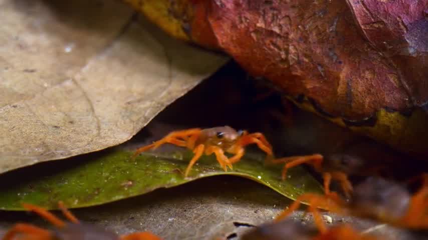 [Image: 7gh5v9diptr4.jpg]